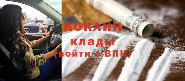 ГАЛЛЮЦИНОГЕННЫЕ ГРИБЫ Тутаев