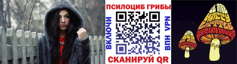 Купить где  Ряжск  Галлюциногенные грибы прущие грибы 